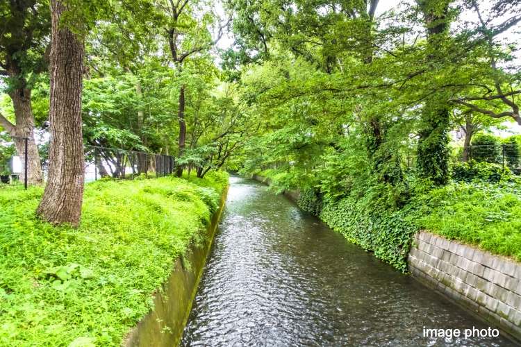 玉川上水道イメージ画像