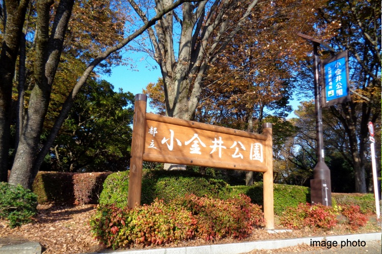 小金井公園イメージ画像